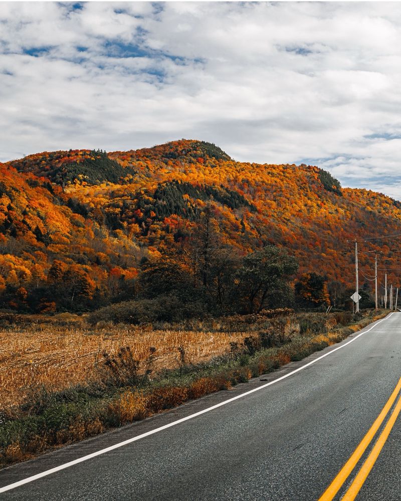 Vermont - Route 100