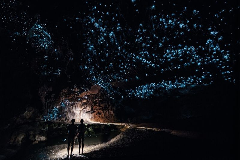 Waitomo Glowworm Caves, New Zealand