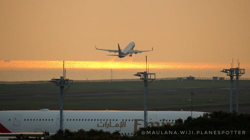 Watch Planes Take Off