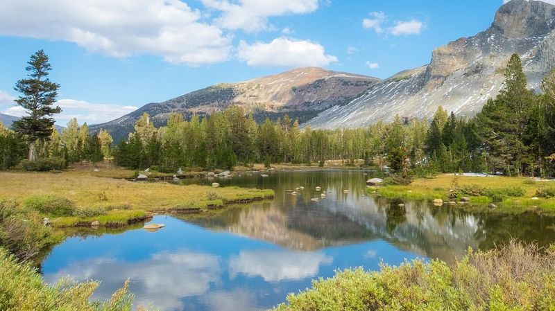 Yosemite National Park, California