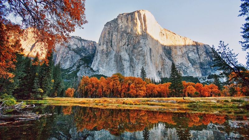 Yosemite National Park