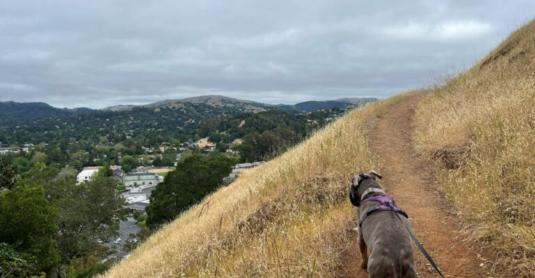 15 Trails on the Sonoma Coast Where Magic Meets Reality