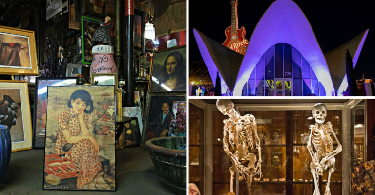 12 Of The Most Unique Museums In The United States