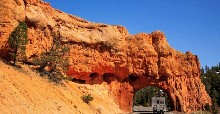 15 Best Scenic Drives In The USA For Wildlife And Nature Lovers