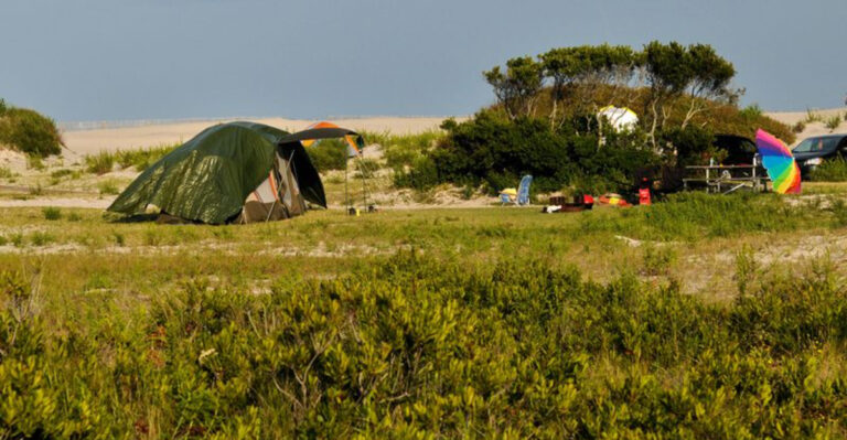 17 Of The Best US Camping Sites If You Want To Engage With The Wildlife