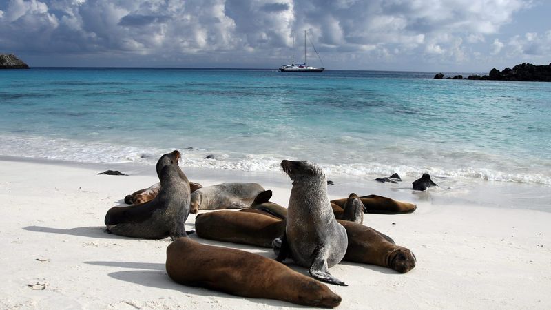 Galápagos Islands, Ecuador