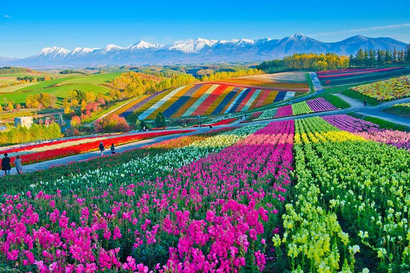 Hokkaido, Japan