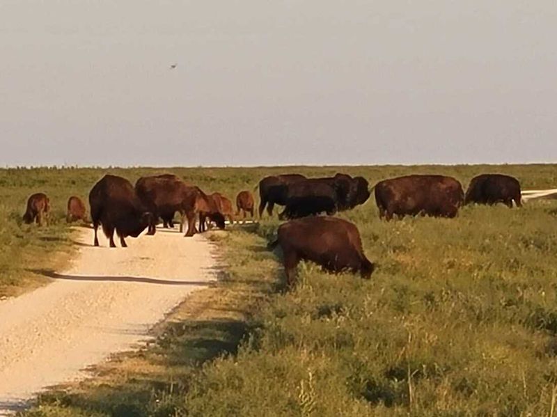 Tallgrass Prairie National Preserve, Kansas