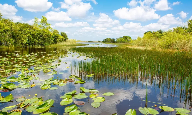 Everglades National Park, Florida