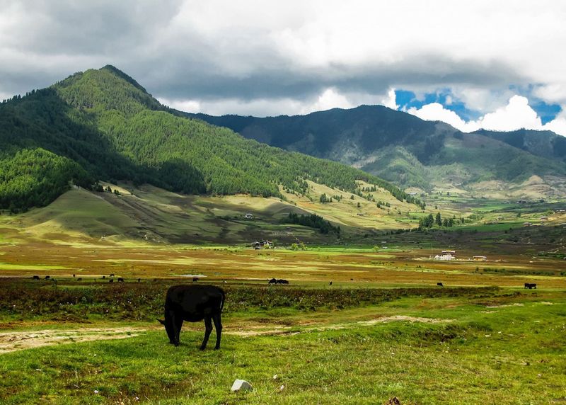 Bhutan's Phobjikha Valley