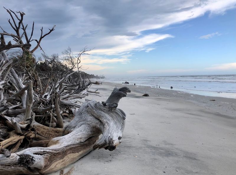 Little Talbot Island