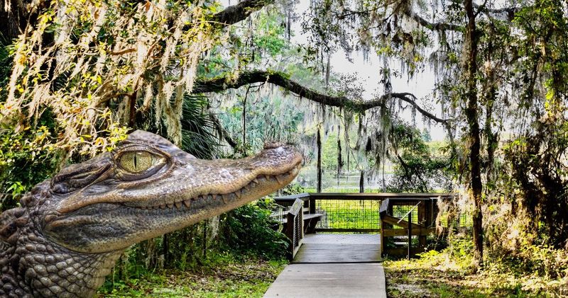 Paynes Prairie Preserve