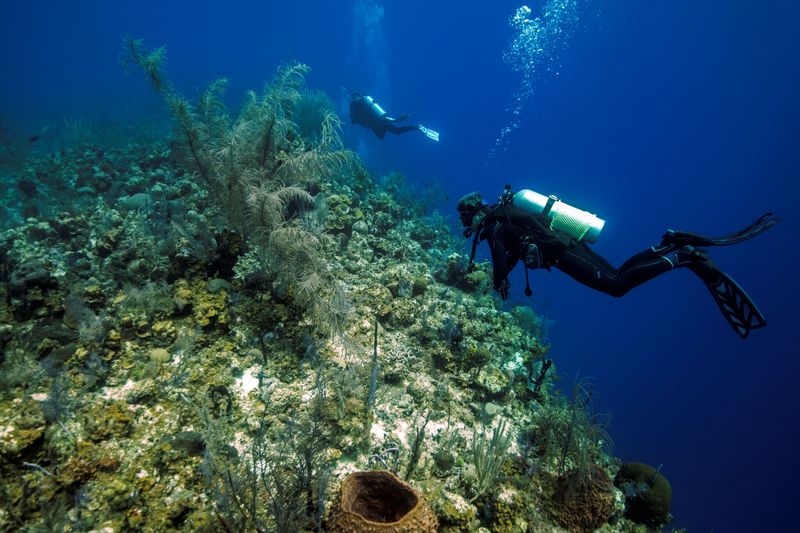 Scuba Diving in Turks and Caicos