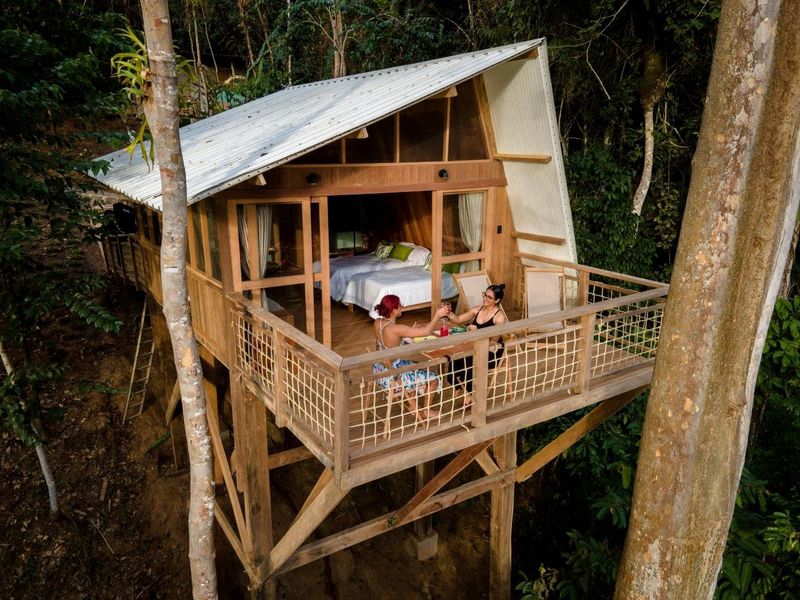 Treehouse Escape