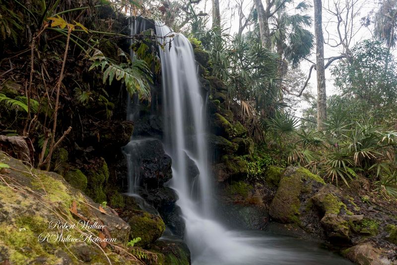 Rainbow Springs State Park