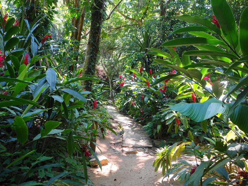 Visit the Carambola Botanical Gardens