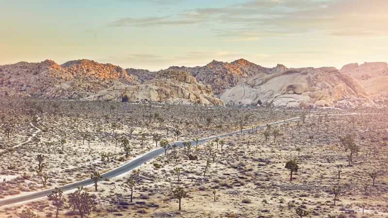 Joshua Tree National Park, California