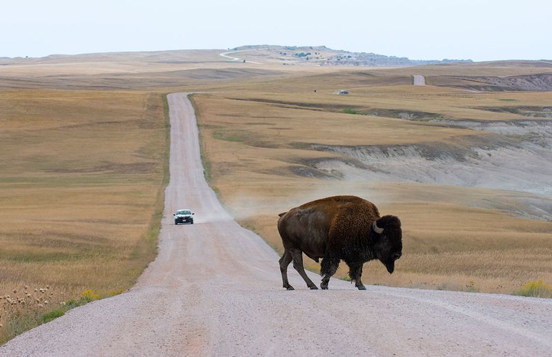 Badlands National Park, South Dakota