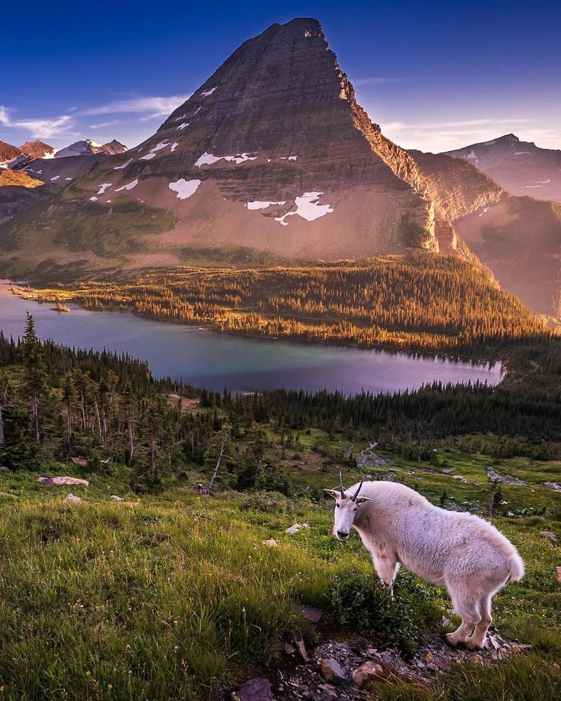 Glacier National Park