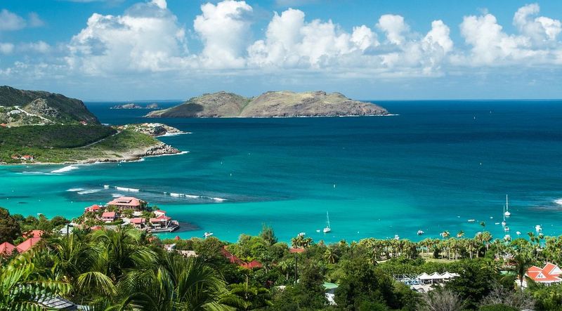 Goat Yoga in Saint Barts