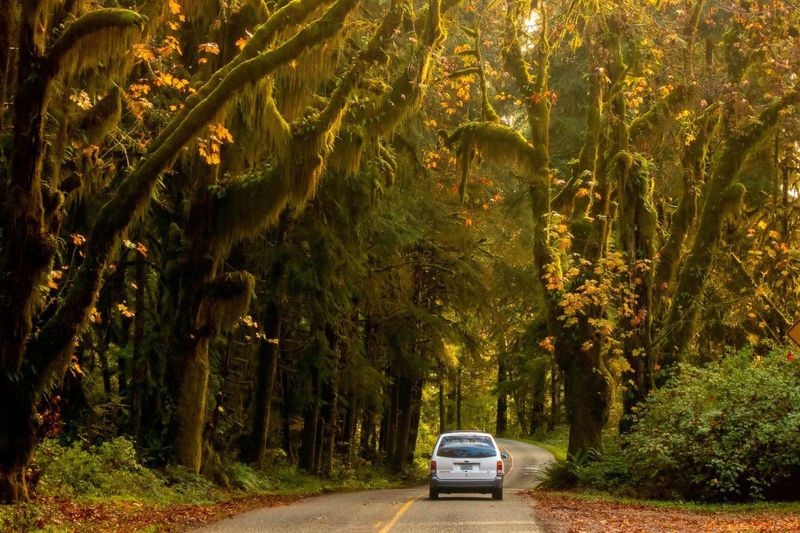 Olympic National Park, Washington