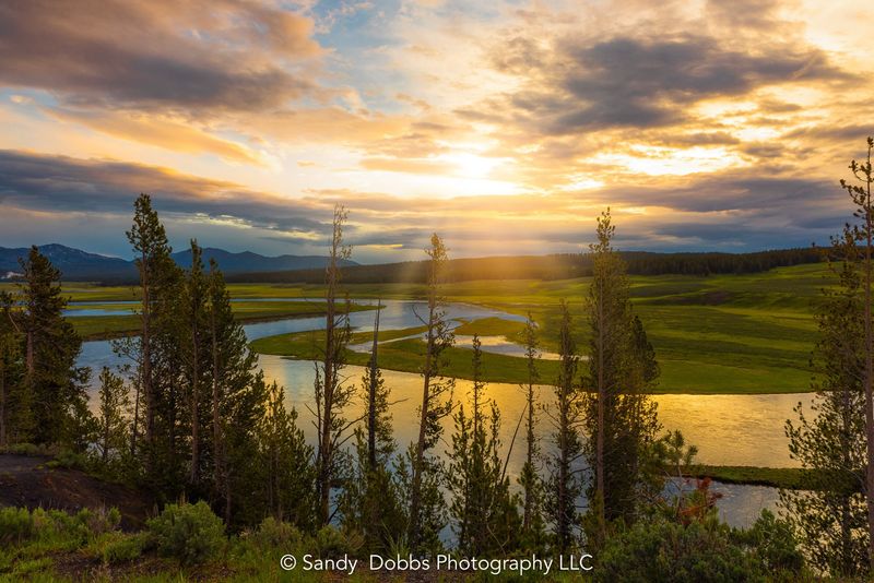 Hayden Valley Sunrise