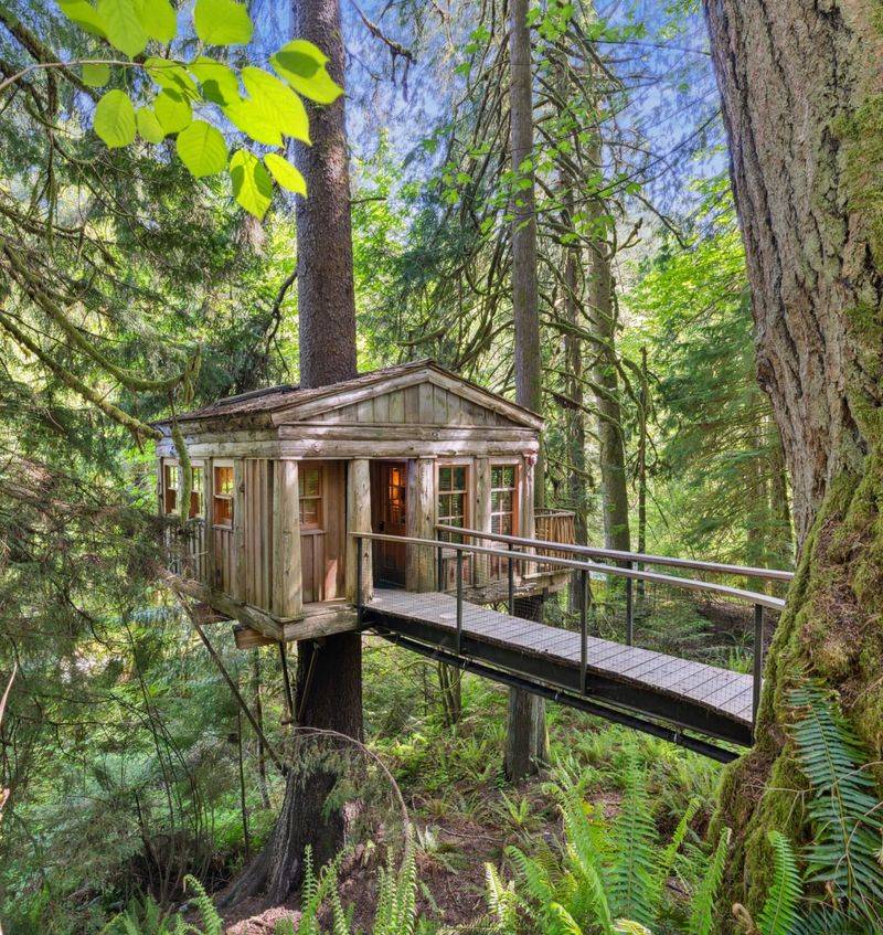 Treehouse Point