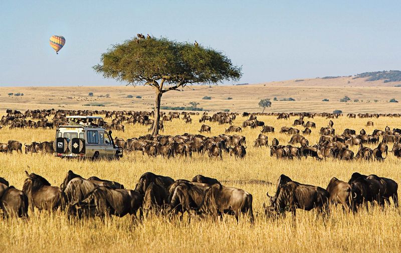 Maasai Mara, Kenya