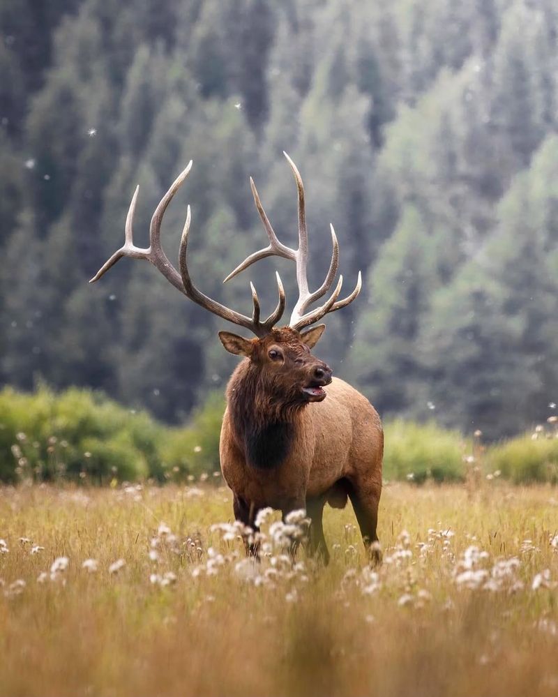 Rocky Mountain National Park