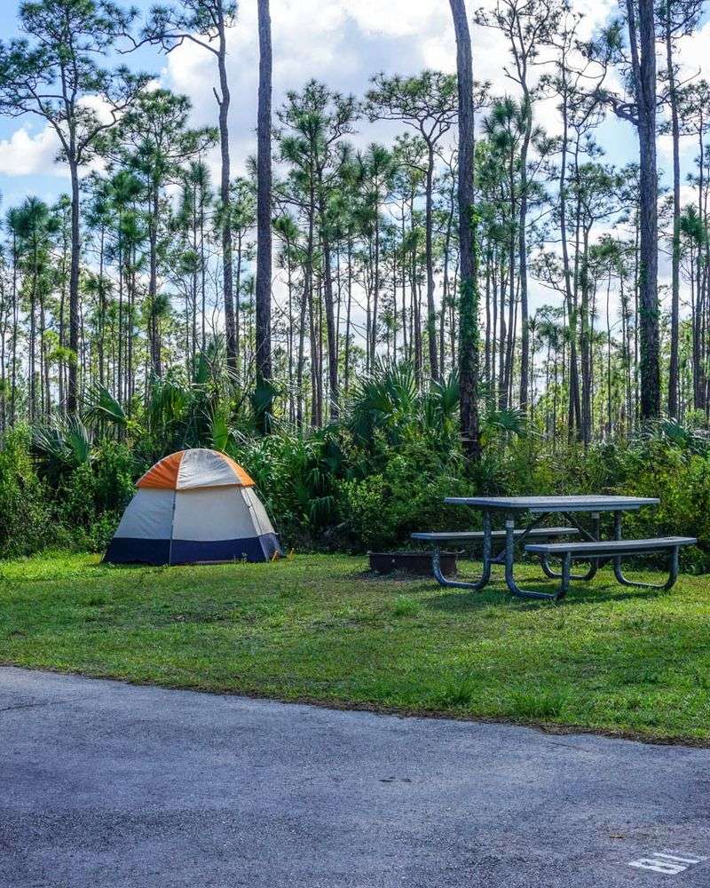 Everglades National Park, Florida