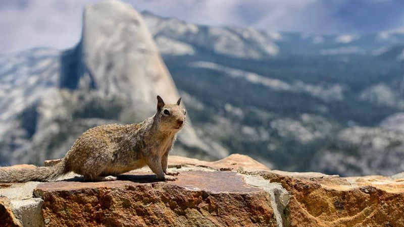 Yosemite National Park, California