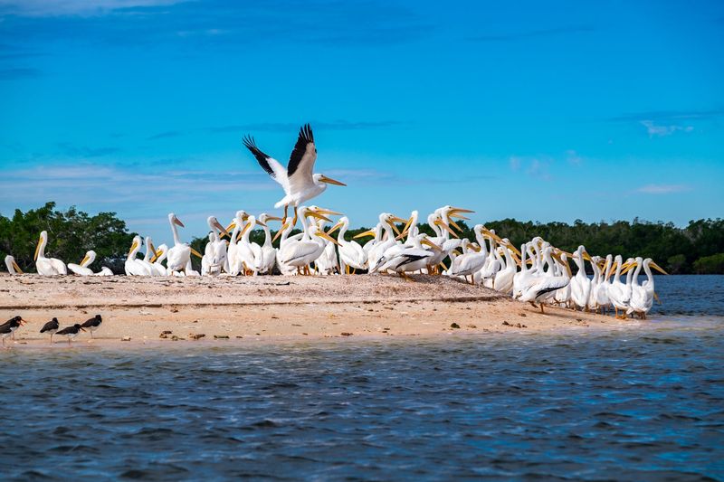 Everglades National Park, Florida