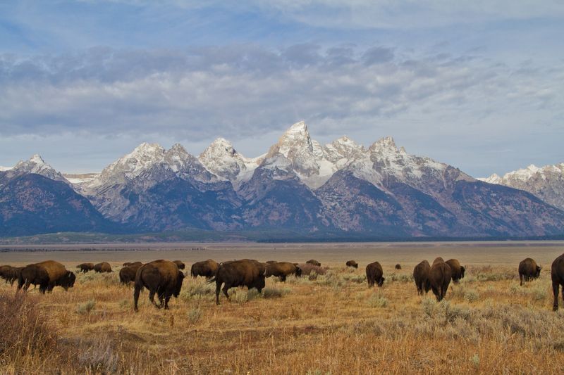 Grand Teton National Park, Wyoming