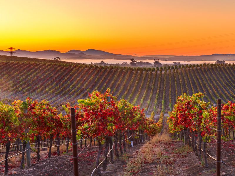 Napa Valley, California