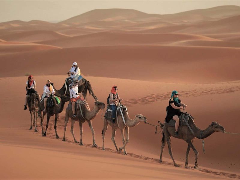 Camel Trekking in the Sahara, Morocco