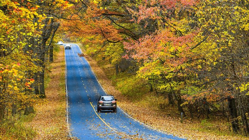 Shenandoah National Park, Virginia