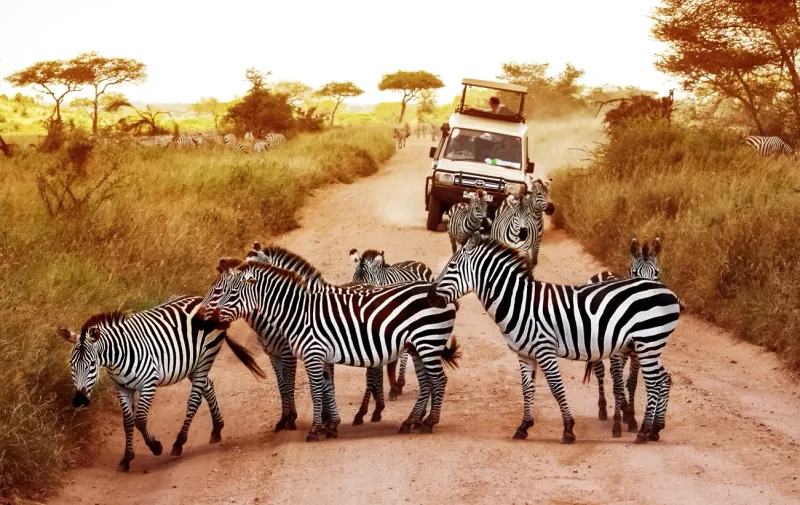 Serengeti National Park, Tanzania