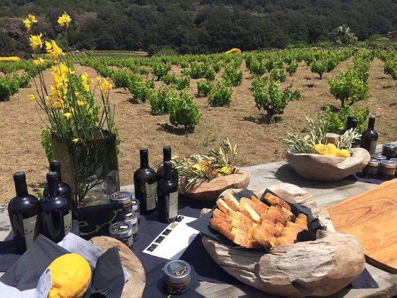 Wine And Vineyard Experiences