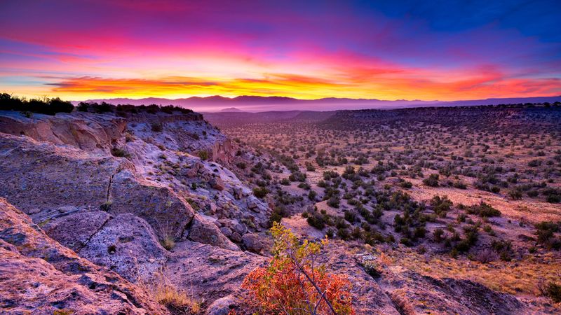 New Mexico