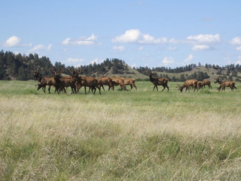 Fort Niobrara National Wildlife Refuge, Nebraska