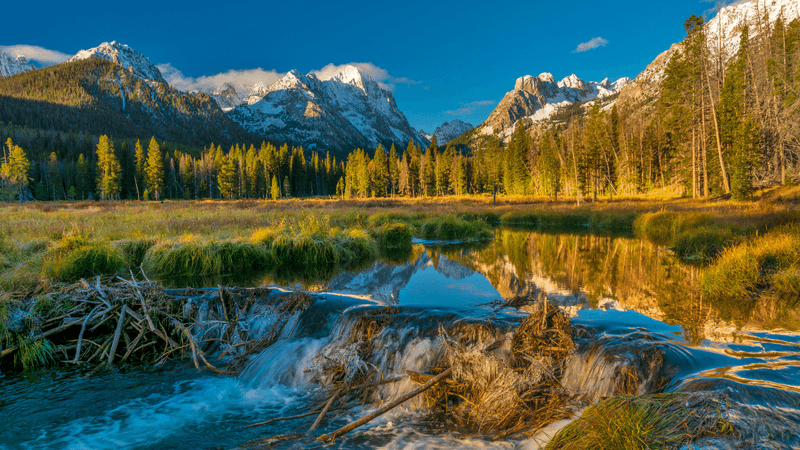 Idaho