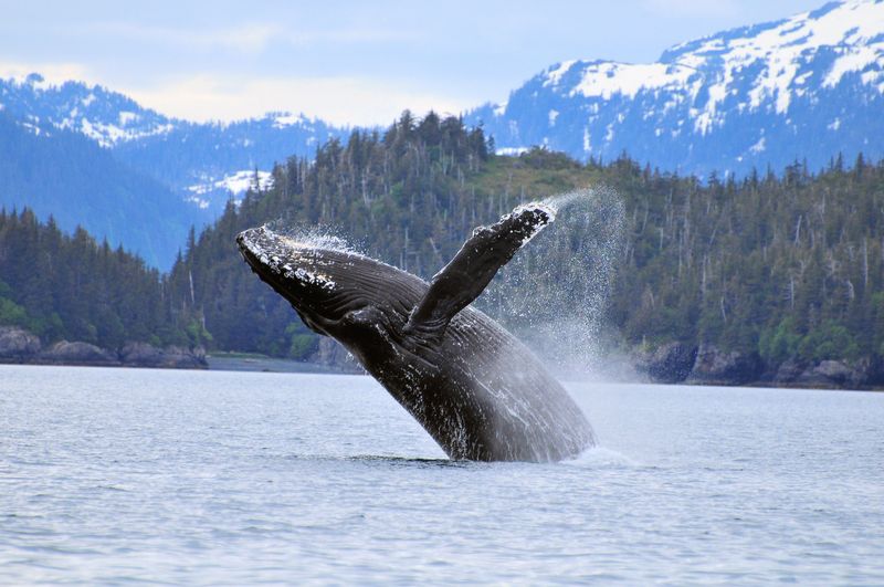 Alaska, USA