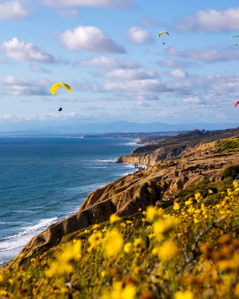 Torrey Pines State Natural Reserve