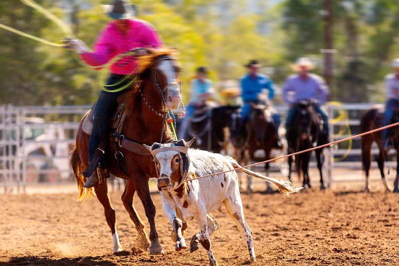 Western-Style Entertainment