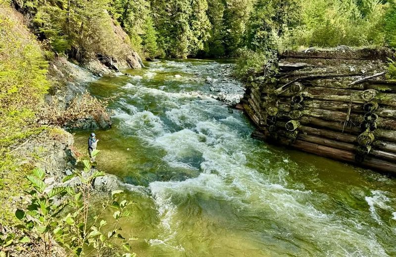 The Skeena