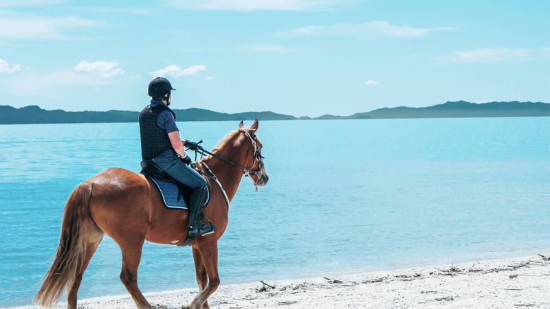 Horseback Riding In Patagonia