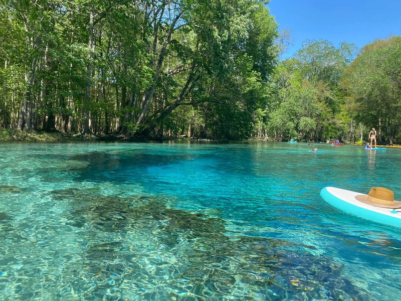 Blue Spring State Park