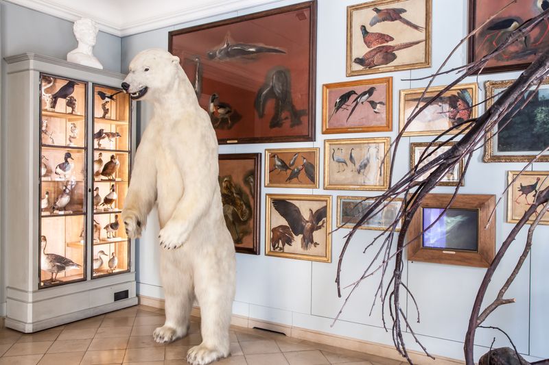 Musée de la Chasse et de la Nature