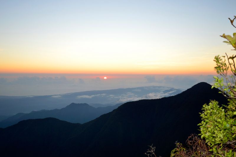 Hiking in the Blue Mountains of Jamaica