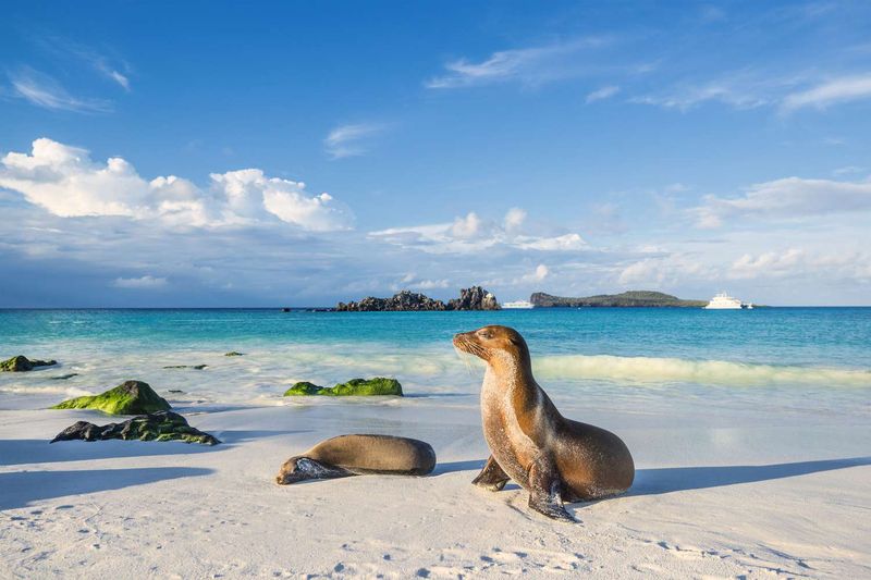 Galápagos Islands, Ecuador
